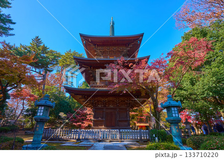 東京都世田谷区の豪徳寺(ごうとくじ)の三重塔と紅葉を正面(東側)から見る 133710220