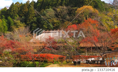 重源の郷（山口県）の紅葉4 133710416