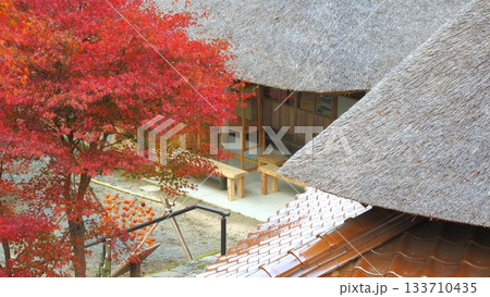重源の郷(山口県)の紅葉6 重源の郷(山口県)の紅葉6 133710435