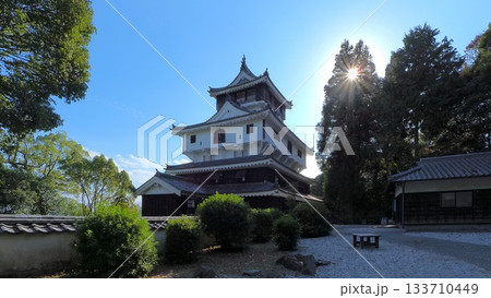 岩国城天守閣2 岩国城天守閣2 133710449