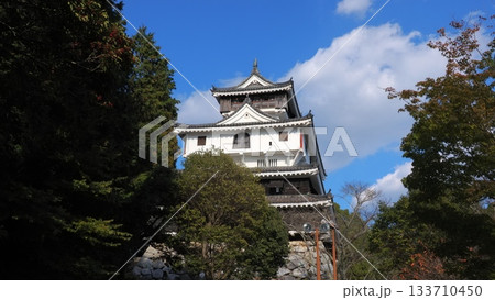 岩国城天守閣3 岩国城天守閣3 133710450