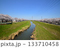 渋田川　満開　桜並木　桜　平塚 133710458