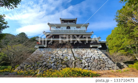 岩国城天守閣1 岩国城天守閣1 133710475