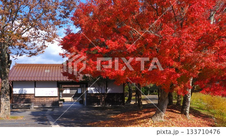 津和野の紅葉3 津和野の紅葉3 133710476