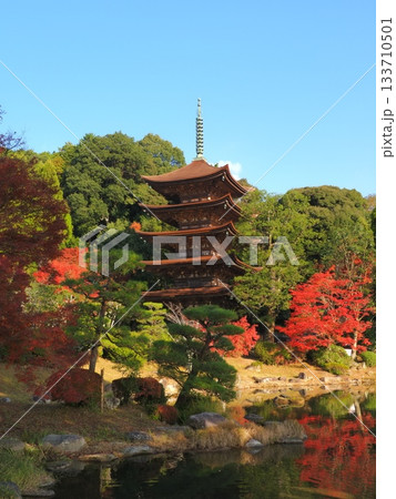 瑠璃光寺(山口県)の紅葉2 瑠璃光寺(山口県)の紅葉2 133710501