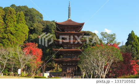 瑠璃光寺(山口県)の紅葉3 瑠璃光寺(山口県)の紅葉3 133710502