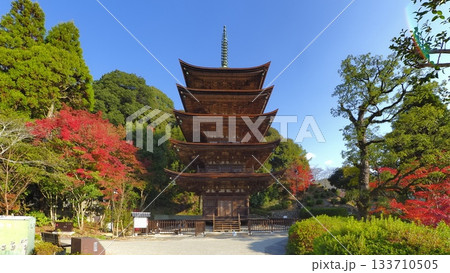 瑠璃光寺（山口県）の紅葉6 133710505
