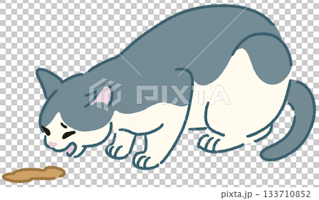 貓嘔吐的插圖 133710852