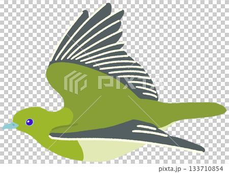 Illustration of a flying green pigeon 133710854