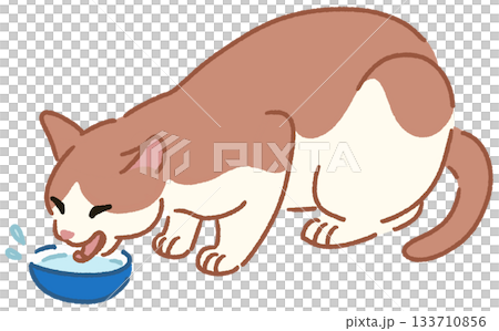 一隻貓喝水的插圖 133710856