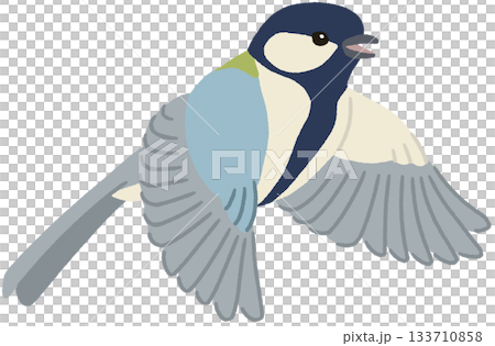 飛翔的山雀插圖 133710858