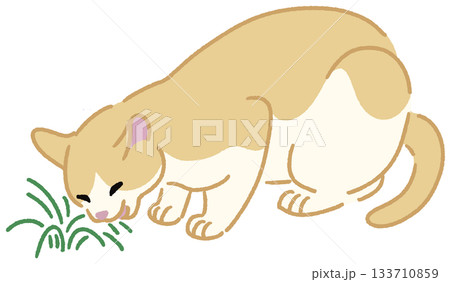 草を食べる猫のイラスト 133710859