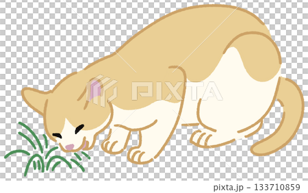 草を食べる猫のイラスト 133710859