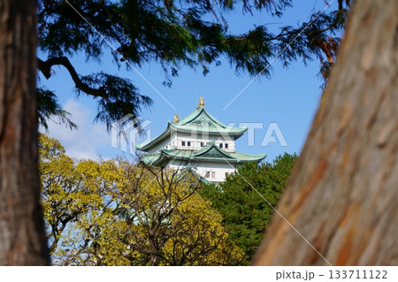 木々に囲まれた名古屋城天守閣 133711122