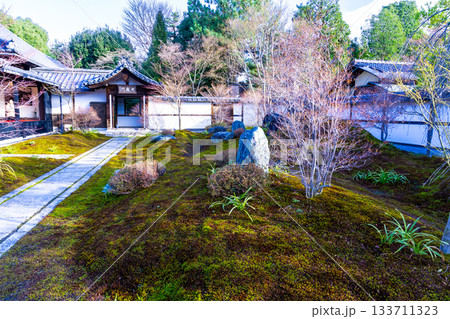 冬の建仁寺　塔頭・西来院の前庭の風景1　京都府京都市東山区 133711323