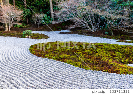 冬の建仁寺　塔頭・西来院の本堂前庭の風景3　京都府京都市東山区 133711331