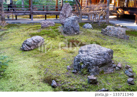 冬の建仁寺　方丈の庭　潮音庭1　京都府京都市東山区 133711340