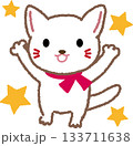 喜んでいる白ねこ 133711638