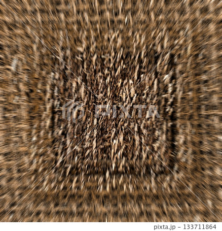Rustic Jute Fabric Pattern with Woven Burlap Texture craft background. Natural Jute Sack. Organic Burlap Texture for any fashion Design Use Rustic Jute Fabric Pattern with Woven Burlap Texture craft background. Natural Jute Sack. Organic Burlap Texture for any fashion Design Use 133711864