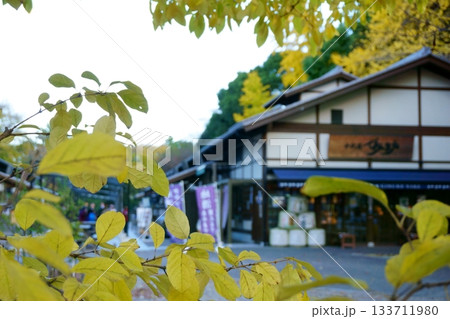 秋の金シャチ横丁 秋の金シャチ横丁 133711980