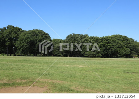 代々木公園 133712054