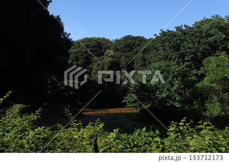 代々木公園 133712173