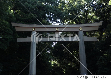 明治神宮 鳥居 明治神宮 鳥居 133712178