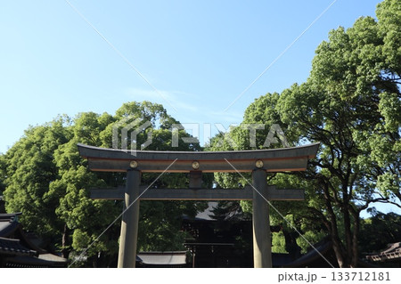 明治神宮 鳥居 明治神宮 鳥居 133712181
