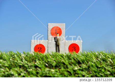 ビジネスマン 頂上 野心イメージ 133712209