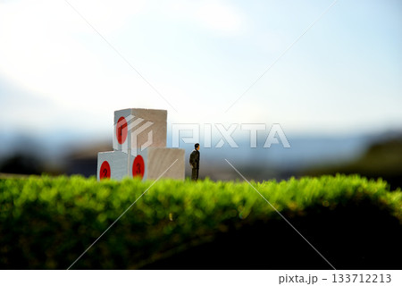 ビジネスマン 頂上 野心イメージ ビジネスマン 頂上 野心イメージ 133712213