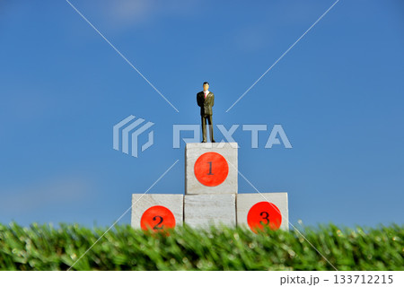 ビジネスマン勝者 格差 頂上イメージ 133712215