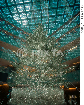 12月の街角に飾られるクリスマスツリー 12月の街角に飾られるクリスマスツリー 133712366