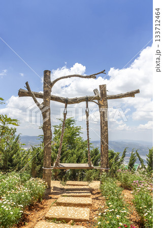 Swing on the summit of Langbiang Mountain 133712464