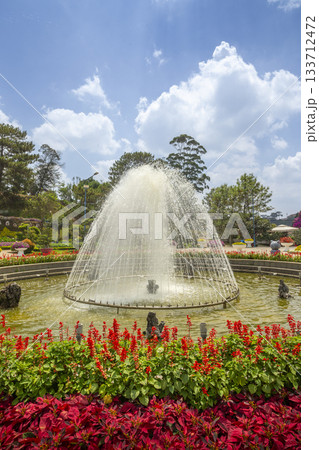 At the Flower Park Fountain in Dalat, Vietnam 133712472