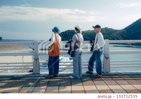 親子3人で海辺を散策する後ろ姿のシーン 親子3人で海辺を散策する後ろ姿のシーン 133712535