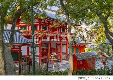 京都 八坂神社 紅葉の季節 西楼門 京都 八坂神社 紅葉の季節 西楼門 133712775