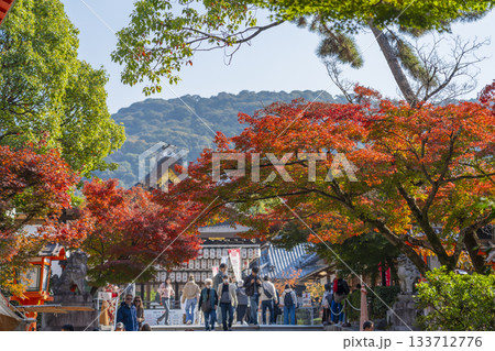 京都 八坂神社 紅葉の季節 舞殿 京都 八坂神社 紅葉の季節 舞殿 133712776