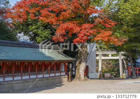 京都 八坂神社 十社と紅葉 京都 八坂神社 十社と紅葉 133712779