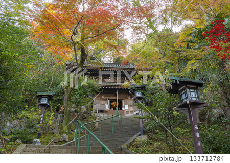 秋の長楽寺　紅葉に包まれた本堂 133712784