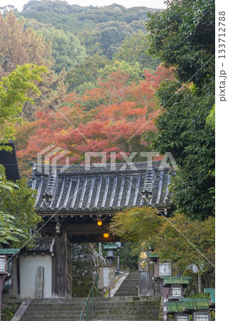 秋の長楽寺　紅葉と山門 133712788