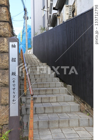 袖摺坂(そですりざか) 東京都新宿区 袖摺坂(そですりざか) 東京都新宿区 133712798