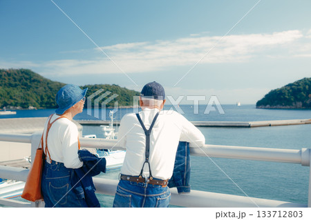 海辺で佇む60代シニア夫婦の旅シーン 133712803
