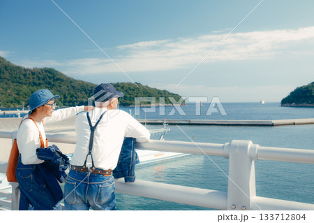 海辺で佇む60代シニア夫婦の旅シーン 133712804
