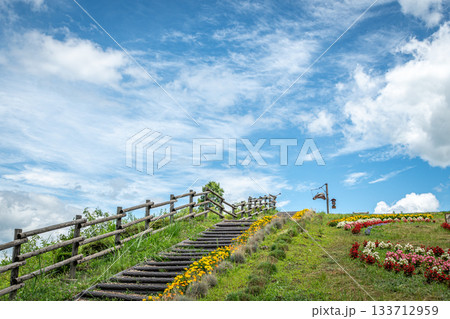 群馬・嬬恋村 愛妻の丘の花咲く木製階段と夏空の爽やかな景色 群馬・嬬恋村 愛妻の丘の花咲く木製階段と夏空の爽やかな景色 133712959