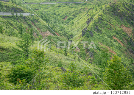 群馬・草津町 国道292号見晴台から望む深い緑の谷間と夏山の風景 133712985