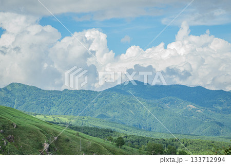 草津町・国道292号見晴台から望む夏の山並みと入道雲の風景 草津町・国道292号見晴台から望む夏の山並みと入道雲の風景 133712994