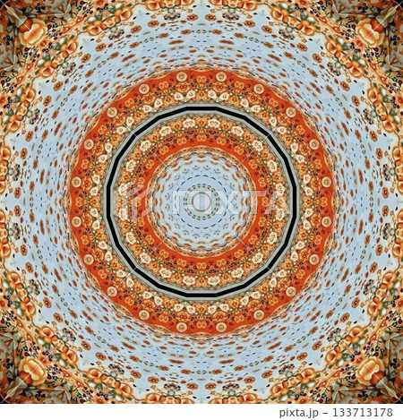 Elegant Floral & Vintage Indian-Pakistani Embroidery Patterns, Intricate Phulkari, Kantha & Chikankari Stitch Motifs for Crafts, Fabrics & DIY Projects 133713178