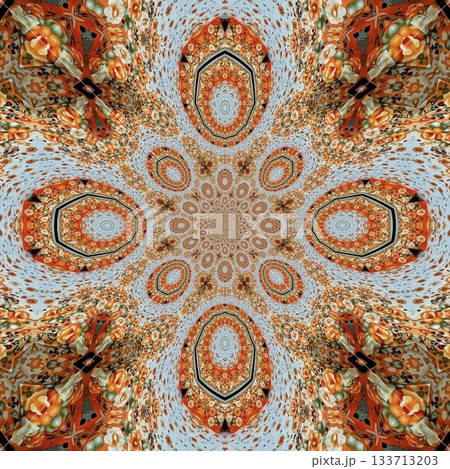 Elegant Floral & Vintage Indian-Pakistani Embroidery Patterns, Intricate Phulkari, Kantha & Chikankari Stitch Motifs for Crafts, Fabrics & DIY Projects Elegant Floral & Vintage Indian-Pakistani Embroidery Patterns, Intricate Phulkari, Kantha & Chikankari Stitch Motifs for Crafts, Fabrics & DIY Projects 133713203