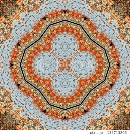 Elegant Floral & Vintage Indian-Pakistani Embroidery Patterns, Intricate Phulkari, Kantha & Chikankari Stitch Motifs for Crafts, Fabrics & DIY Projects 133713206