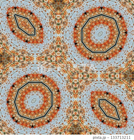 Elegant Floral & Vintage Indian-Pakistani Embroidery Patterns, Intricate Phulkari, Kantha & Chikankari Stitch Motifs for Crafts, Fabrics & DIY Projects 133713211